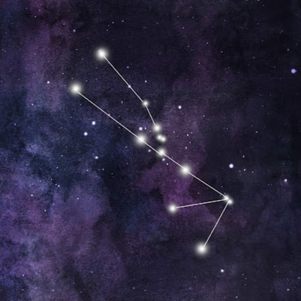 Meet your Posher, Mckenna